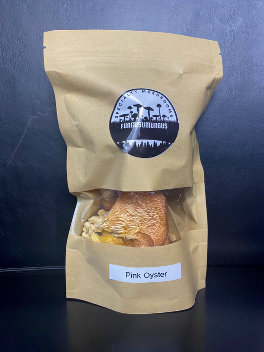 Dried Pink Oyster Mushrooms (Pleurotus djamor) – Gourmet, Vegan “Bacon” Mushroom